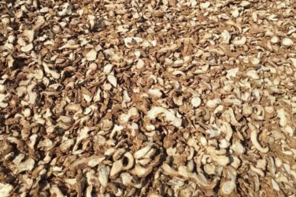 Jahe emprit Kering or Dried java ginger