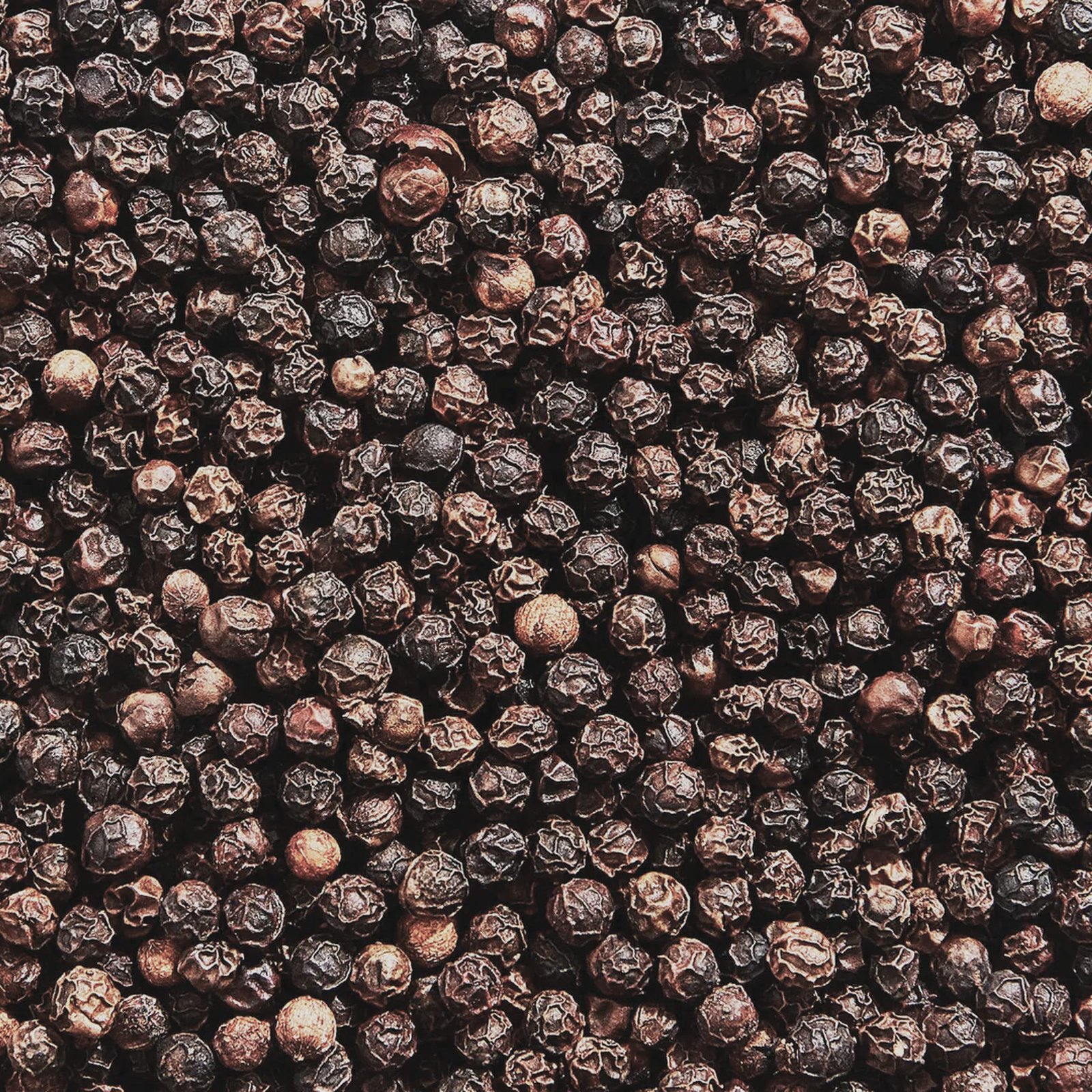 Black pepper supplier, selling black pepper, jual lada hitam