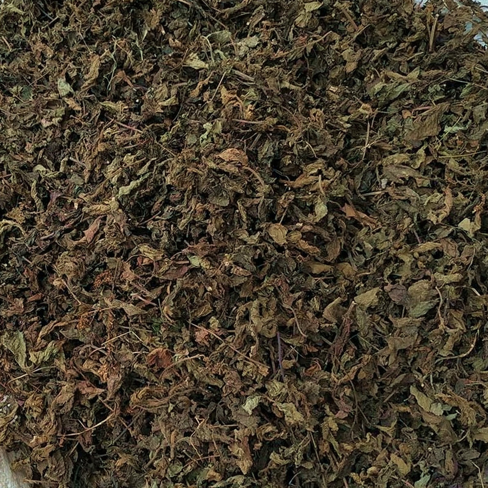 Dried grass jelly supplier, Jual Cincau hitam kering