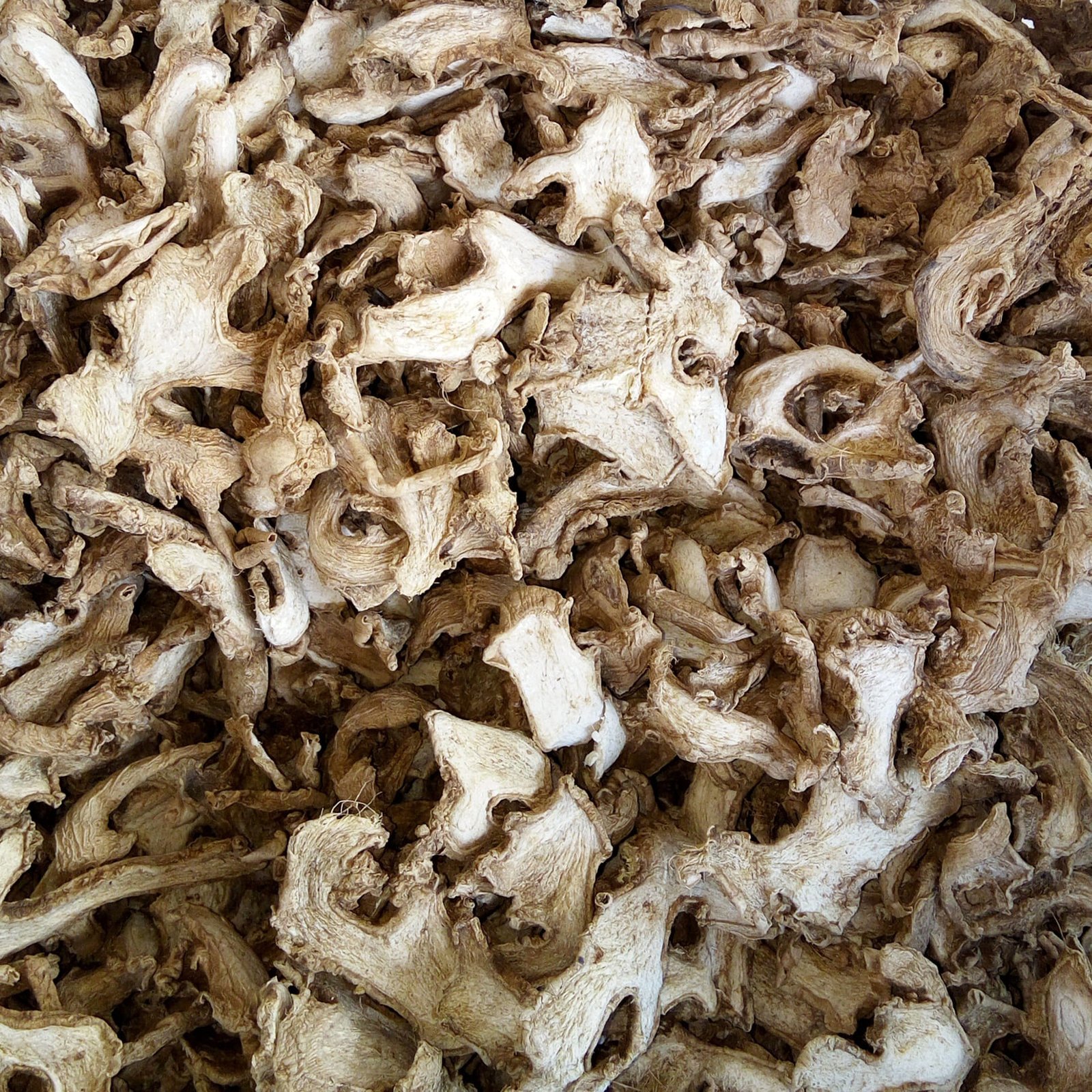 Dried java ginger, jahe emprit kering