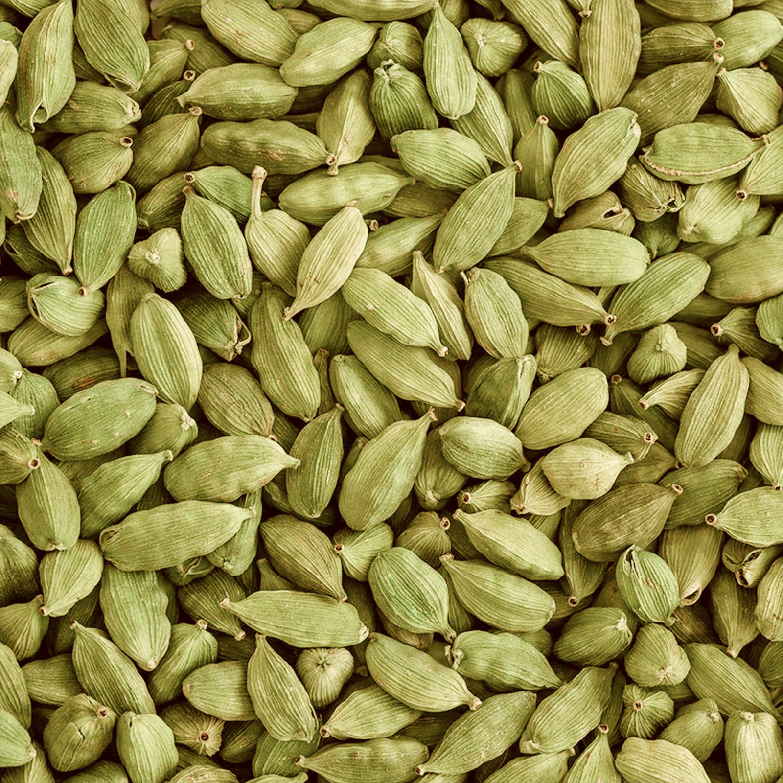 Green cardamom supplier, jual kapulaga hijau