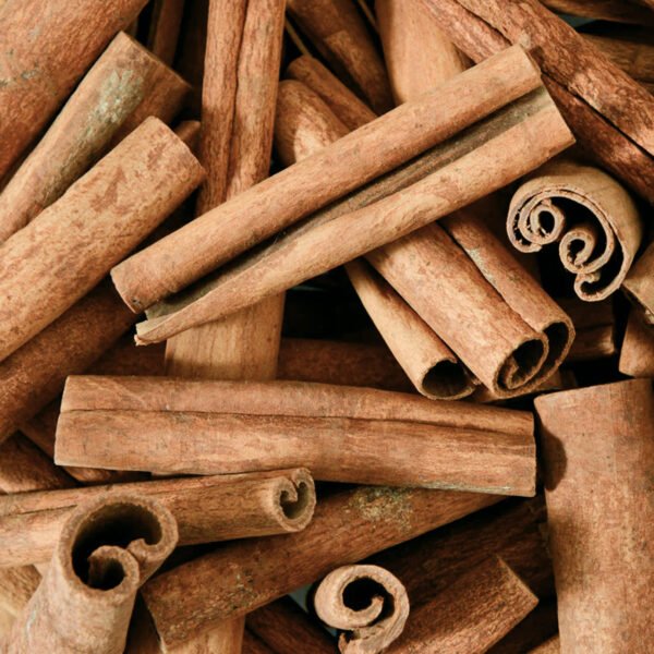 Premium cinnamon supplier, jual kayu manis