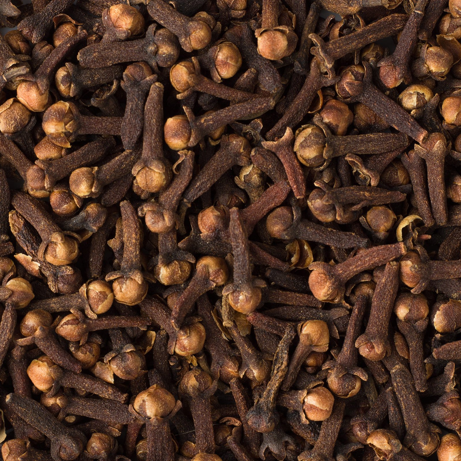 Premium cloves supplier, Cengkeh premium