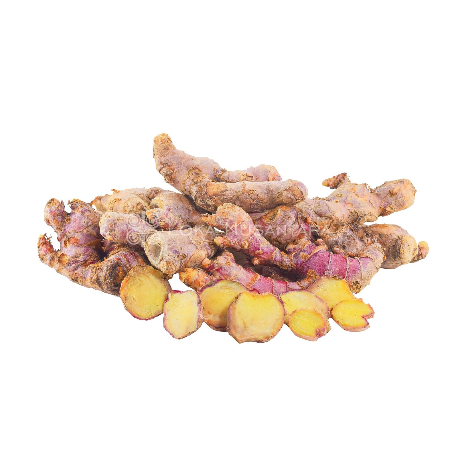 Red ginger, Jahe merah, Zingiber Officinale Var Rubrum Rhizoma