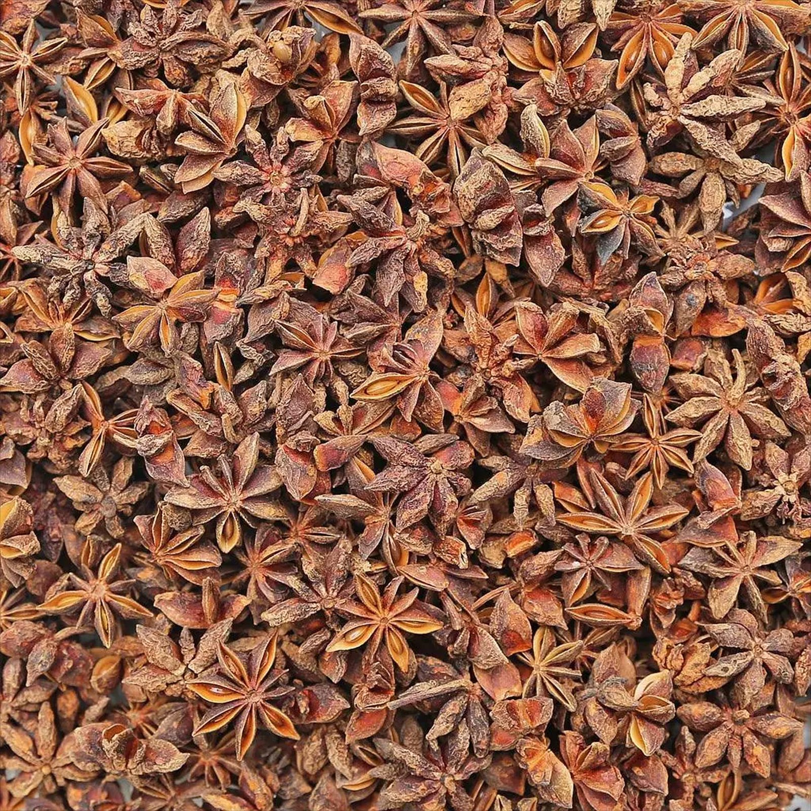 Star anise supplier, jual star anise, jual bunga lawang