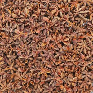 Star anise supplier, jual star anise, jual bunga lawang