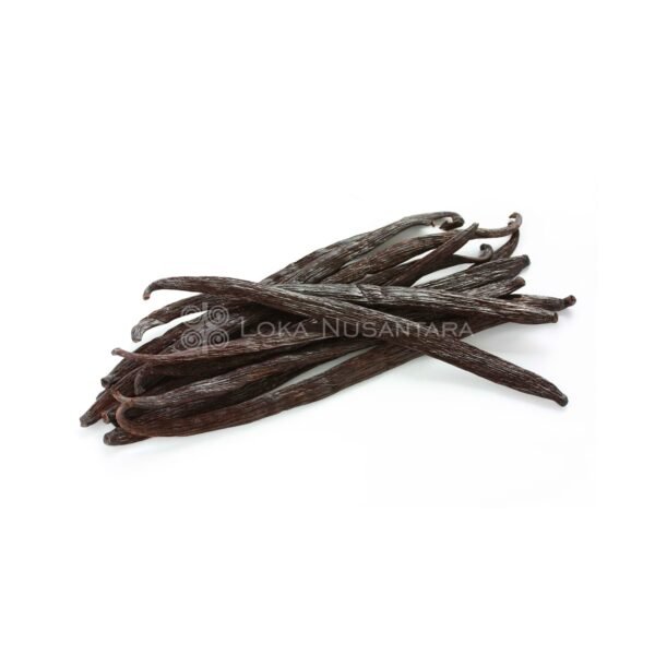 Vanilla, Vanili, Vanilla planifolia