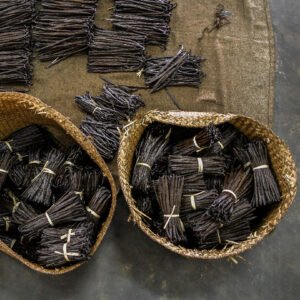 Vanilla seller, Premium vanilla, Jual vanila