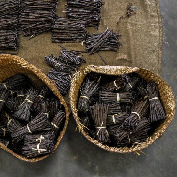 Vanilla seller, Premium vanilla, Jual vanila