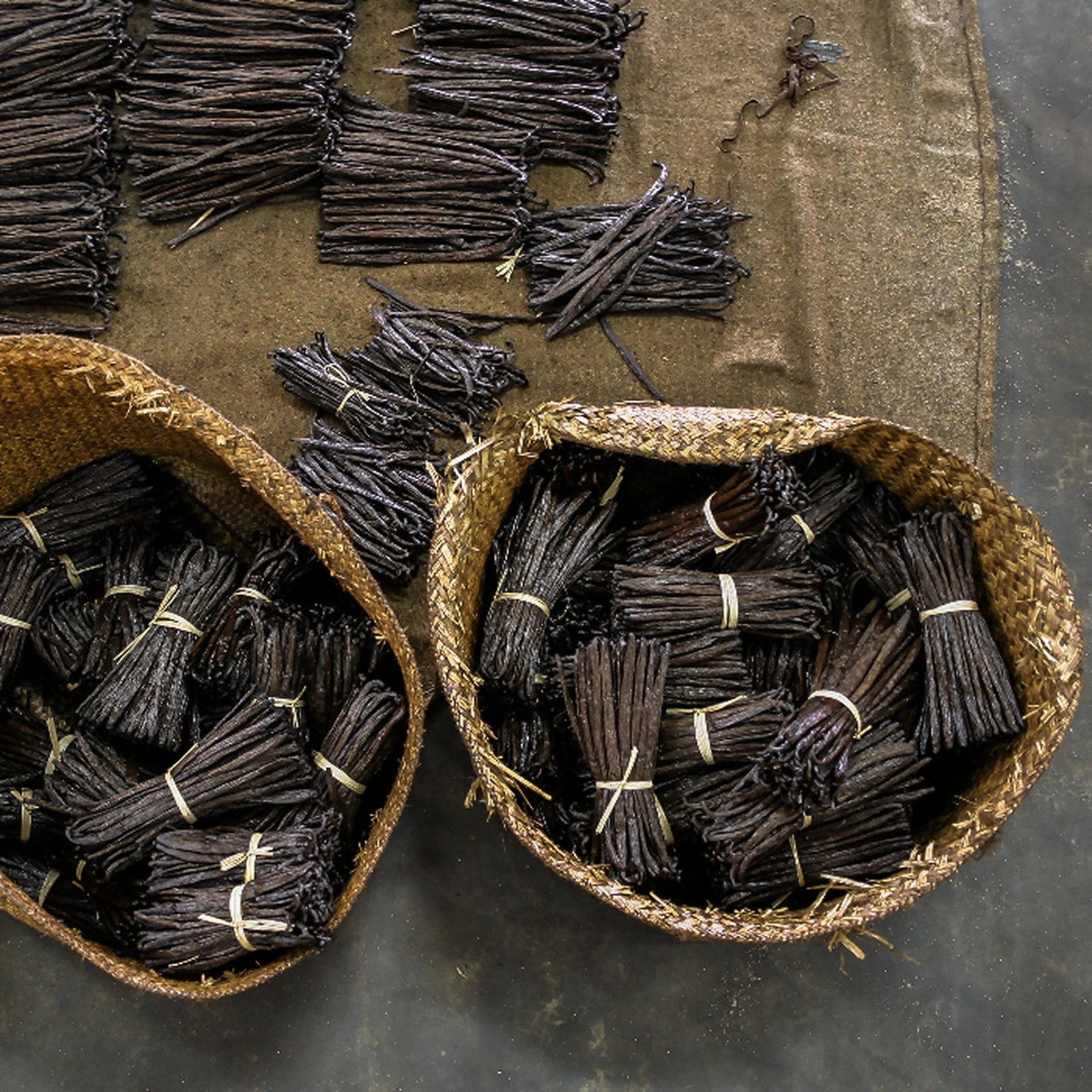 Vanilla seller, Premium vanilla, Jual vanila